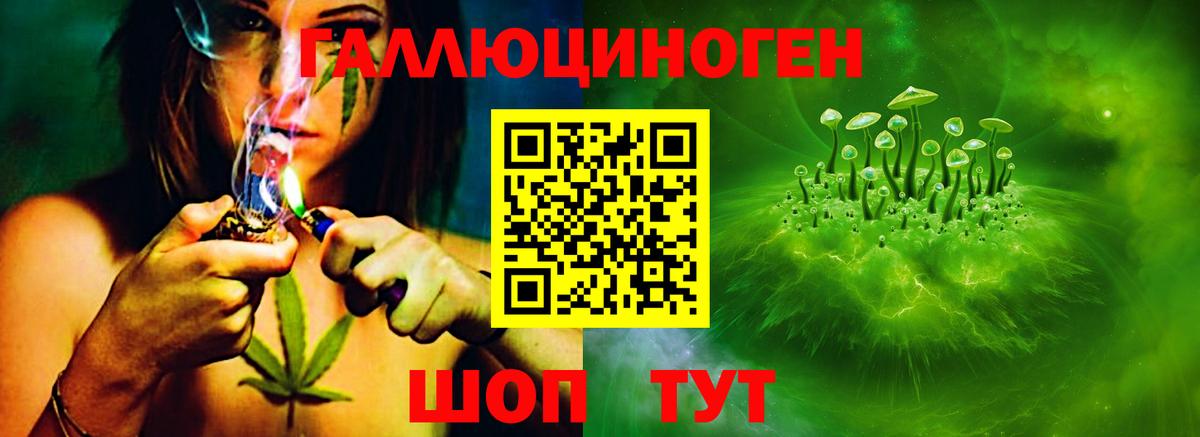 Галлюциногенные грибы Psilocybine cubensis  Галлюциногенные грибы мухоморы  Кизилюрт  Вход с VPN 